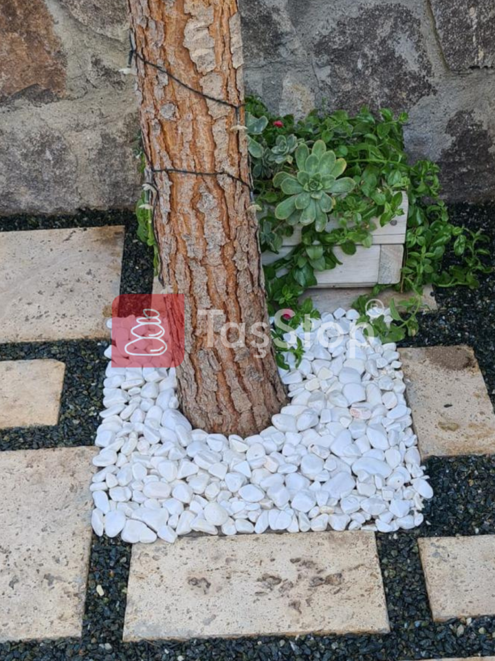 Saksı Dibi Çakıl Sabitleme Çakıl Bağlayıcı Kiti / - 2